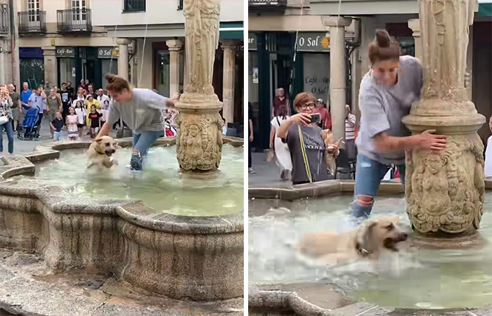 Crowd Can’t Stop Laughing At Dog Frolicking In A Fountain