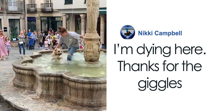 Crowd Can’t Stop Laughing At Dog Frolicking In A Fountain