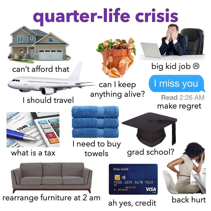 quarter life crisis meme