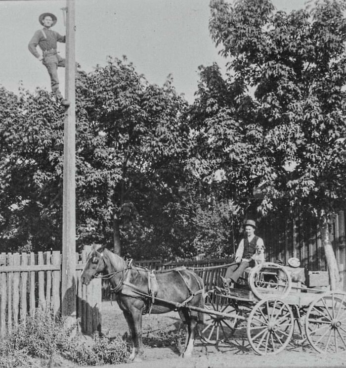 Telephone Repair Wagon And Repairman, 1887, California