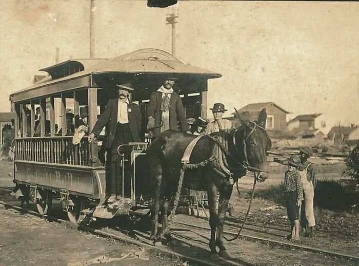 Mule-Powered Trolley In Galveston, Texas, Late 19th-Century