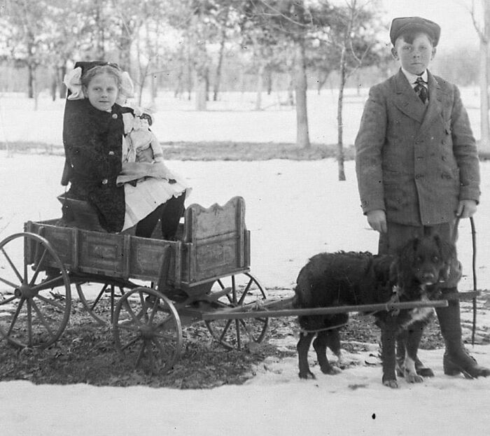 Children With Their Dog Pulling Wagon, 1910