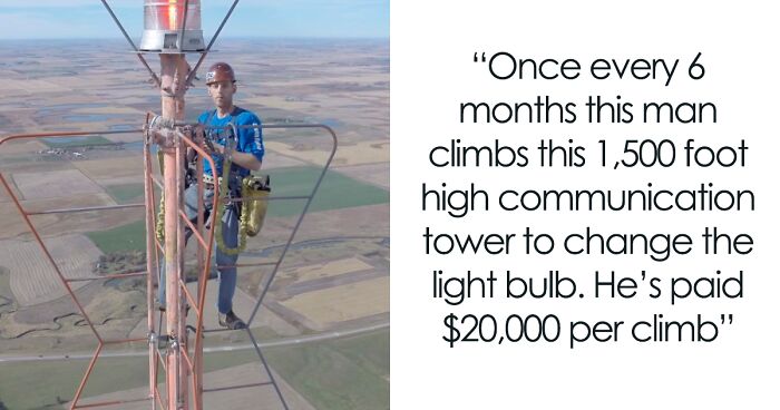 50 Bits Of Information That May Leave You Saying, ‘WTF Facts’ (New Pics)