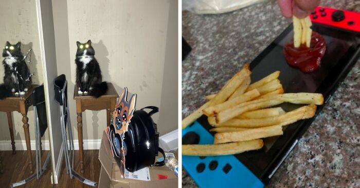 Hey Pandas, Post The Most Cursed Image You Can Find (Closed)