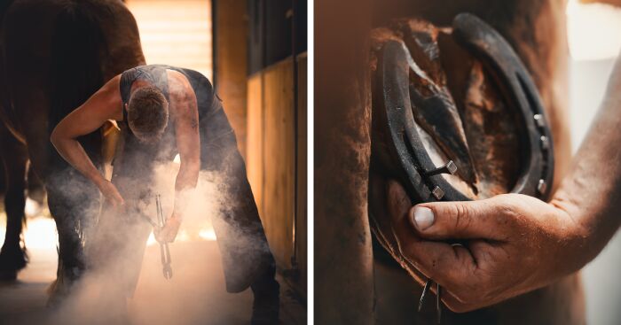 Light On The Job Of A Farrier (13 Pics)