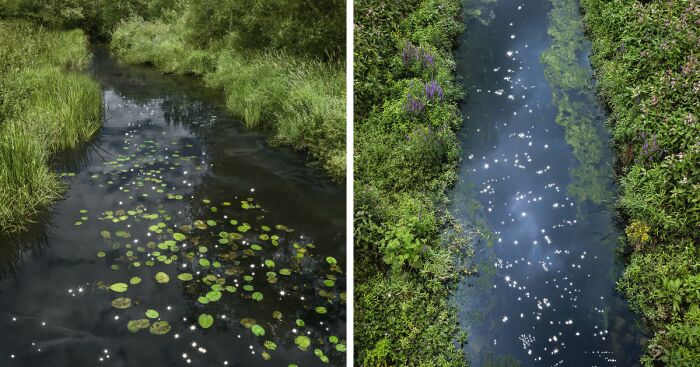 I Combined Light And Water To Create These Images About Rare Chalk Streams (12 Pics)
