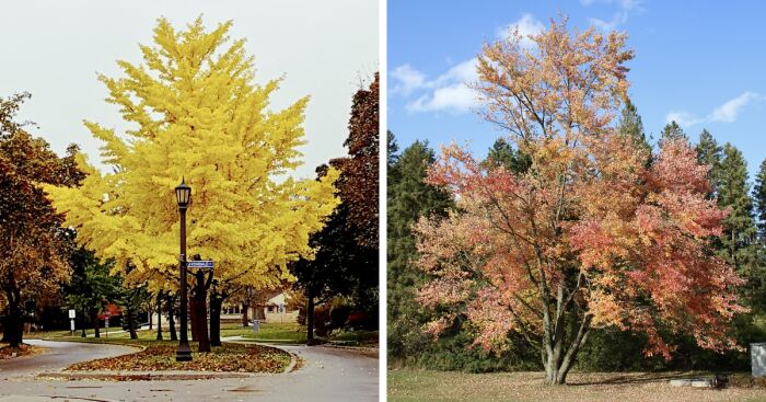 Pictures Of Fall Taken All Around The Waterloo Area (25 Pics)