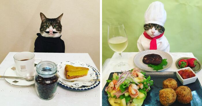 Cosplaying Cat Chef Dines With His Mom Every Night In Different Outfit (30 Pics)