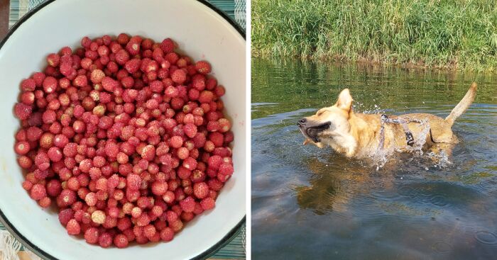 Hey Pandas, Post A Picture Of Your Favorite Thing Related To Summer (Closed)