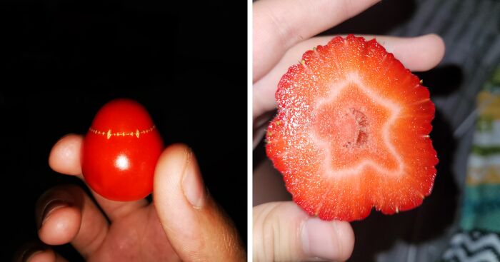 Hey Pandas, Show Us The Weirdest Fruit Or Vegetable You’ve Ever Seen (Closed)