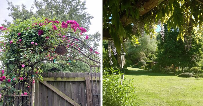 Hey Pandas, Please Show Us A Current Picture Of Your Gardens (Closed)