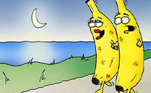 30 Funny And Slightly Inappropriate Comics From 'Fruit Gone Bad’