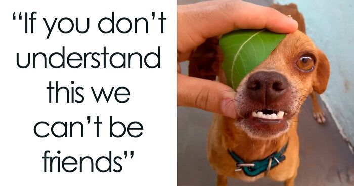 30 Of The Funniest Animal Memes To Make Your Day, As Seen On This Instagram Page