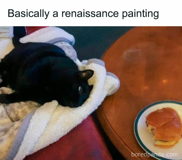 Black cat lounging on a blanket beside a table with a half-eaten sandwich, captioned "Basically a renaissance painting."