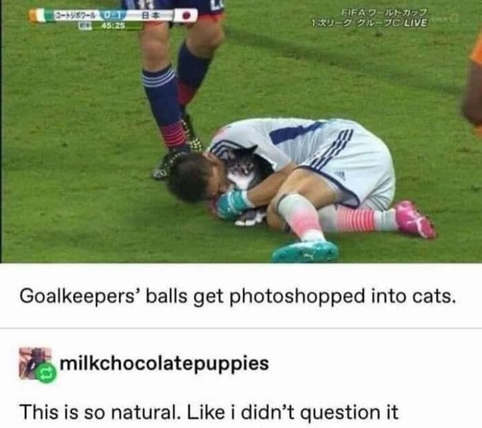 Soccer player on field holding a cat instead of a ball, creating a funny and relatable cat meme.