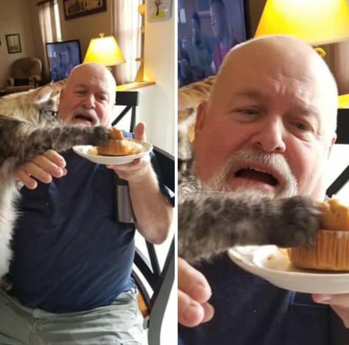 Man humorously surprised as his cat playfully grabs a muffin, creating a funny and relatable cat pic moment.
