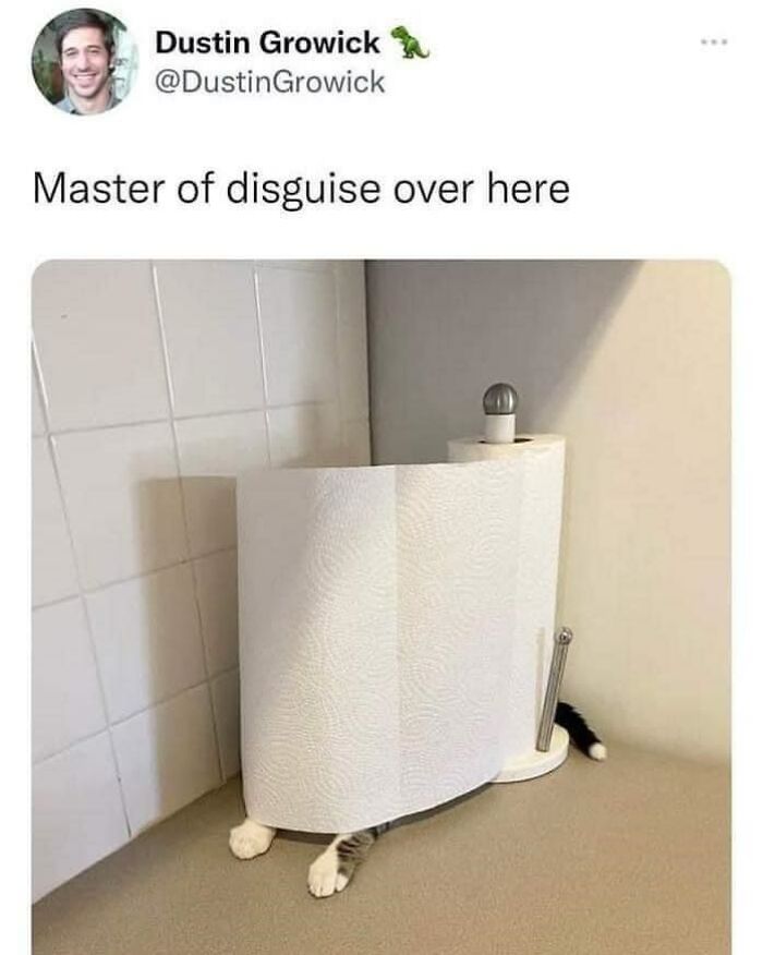 Master Of Disguise