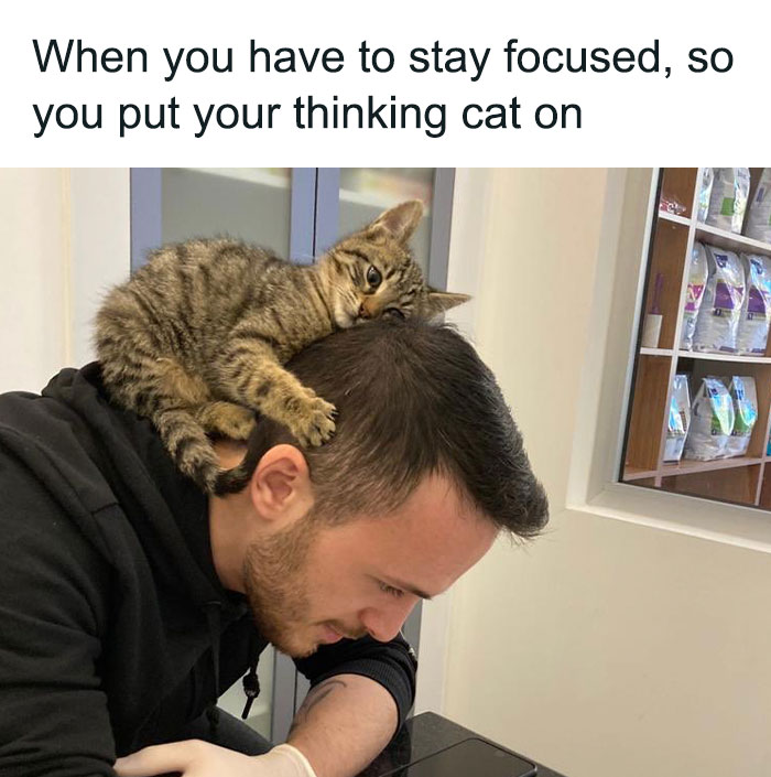 A funny cat sits on a man's head as he leans over, looking focused in a humorous scene.