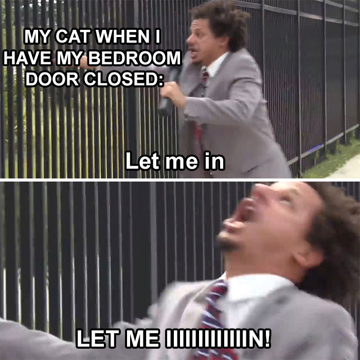 Funny meme of a person at a fence, yelling like a cat wanting to enter a room.