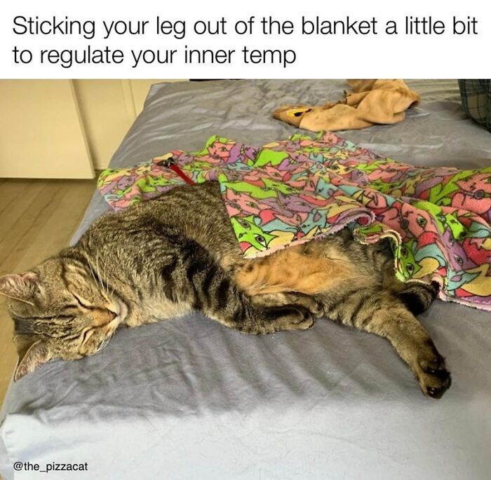 Regulate Your Inner Temp