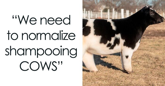 50 Memezar Memes That Are Hilariously Relatable