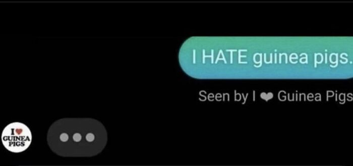 Funny-Messages-Screenshots