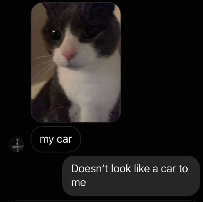 Funny-Messages-Screenshots