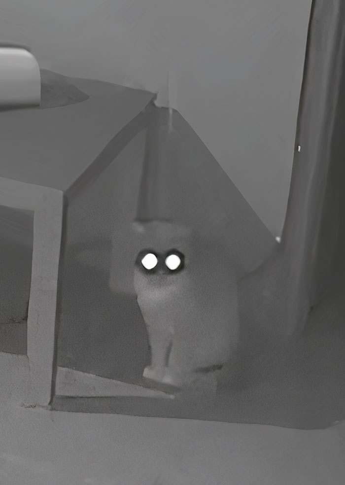 My Cat Suddenly Looked At The Security Camera