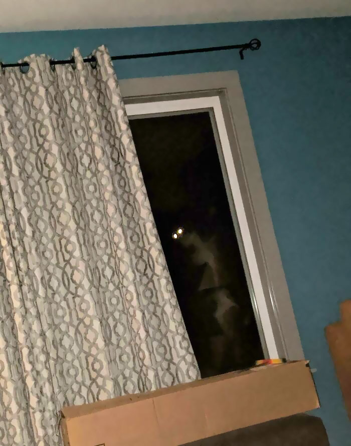 I Heard A Thump At The Window Through My Headphones, Turned On My Phone's Flashlight To See This