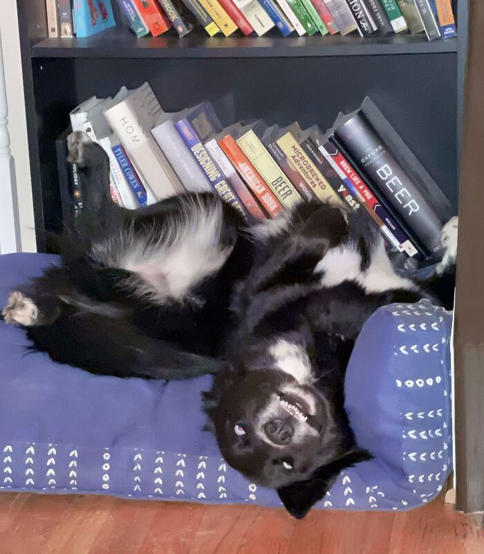 She Scares Us When She Decides To Nap Like This