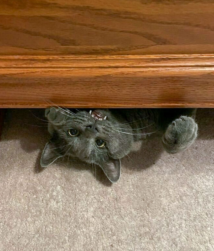 There's A Monster Under My Bed