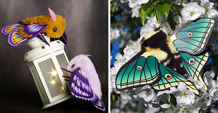 My 26 Fantasy Moth Dolls That Are Completely Handmade
