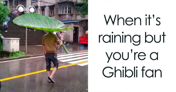 30 Funny Memes To Send To Your Studio Ghibli-Obsessed Friends