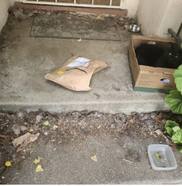 That’s My Dirty Porch, And My Amazon Package (Thanks Amazon For The Photo) But That’s Not My Cat