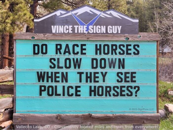 Hilarious-Puns-Public-Signs