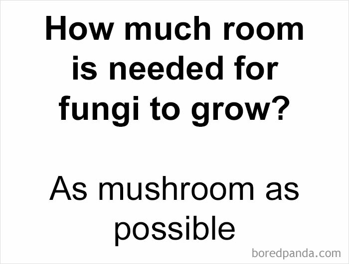 Each Fungi Needs It’s Mushroom