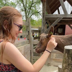 alainasandeen avatar