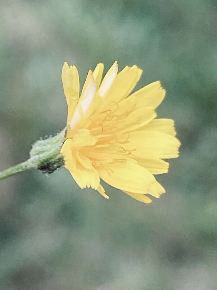 I Love This Photo I Took