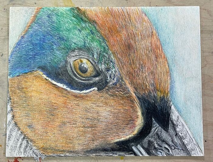 I Drew This Awhile Ago :)