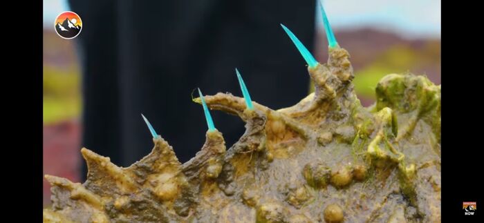 The Spikes Of A Stonefish Are Blue. They Are One Of The Most Painful Things You Can Experience In The World.