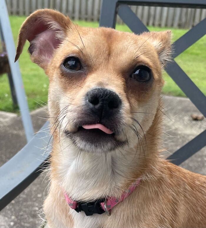 Riley And Her Best Blep