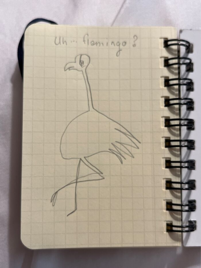 Flamingo… Well, I Tried, Promise
