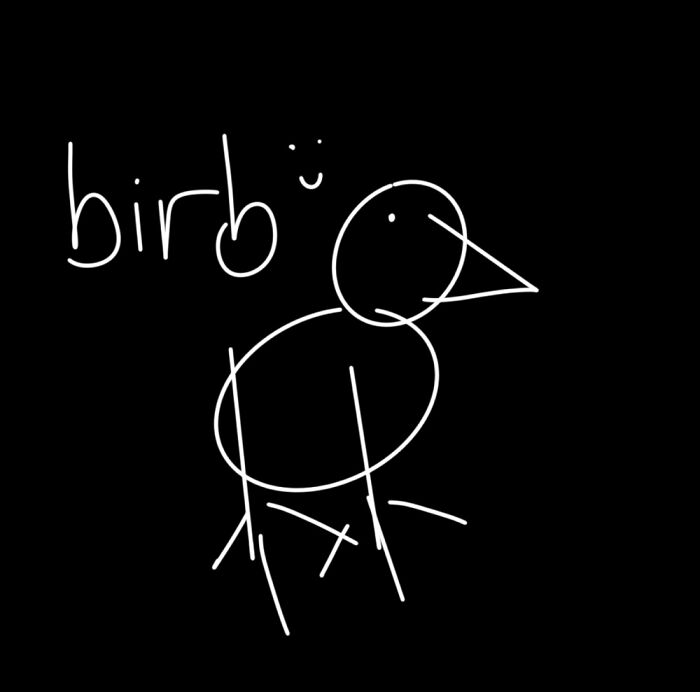 Tried Drawing A Bird…