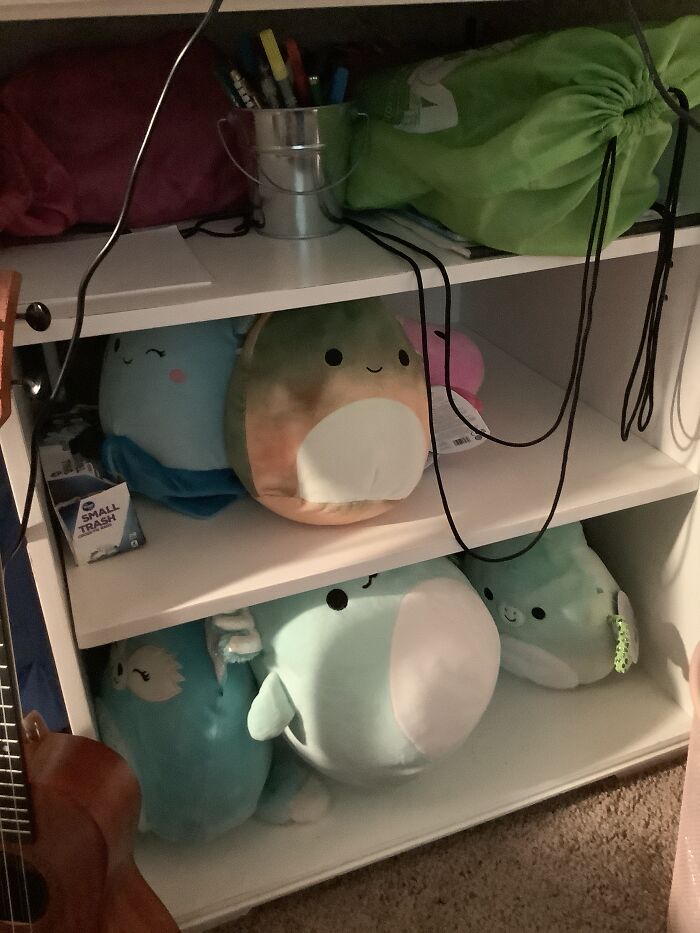 The Majority Of My Squishmallows Were Presents From My Older Brother