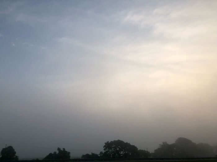 And The Fog Today... Marshall, Va