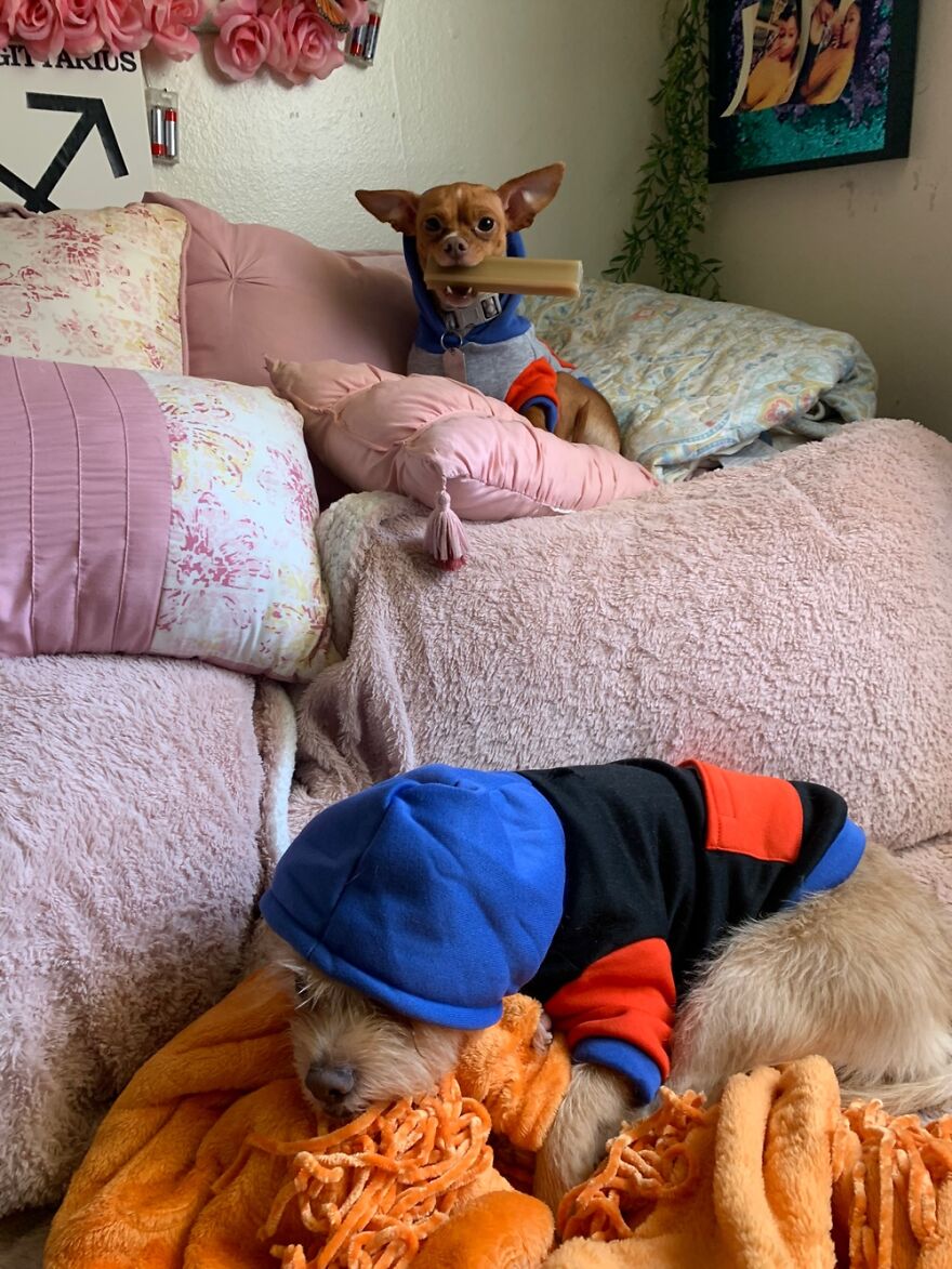 Bitty Bop King Of Treats