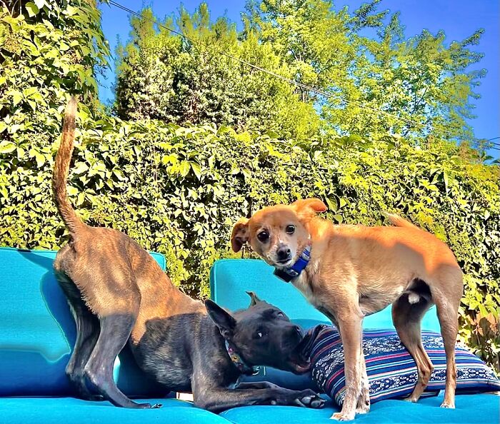 Shrimp Scampi And Ruth Liz Love This Space In Saint Louis!