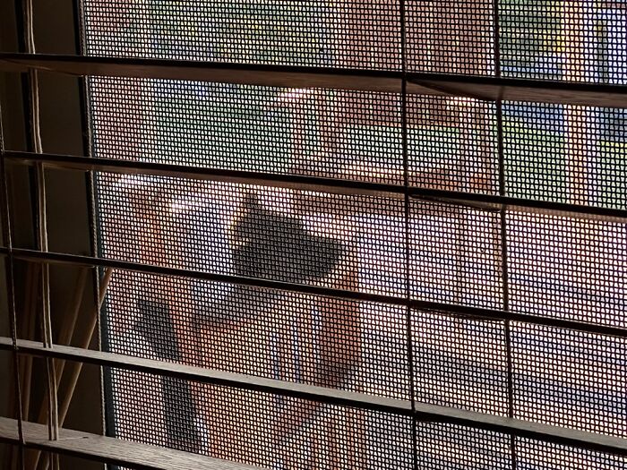 Hanging Out On The Back Deck