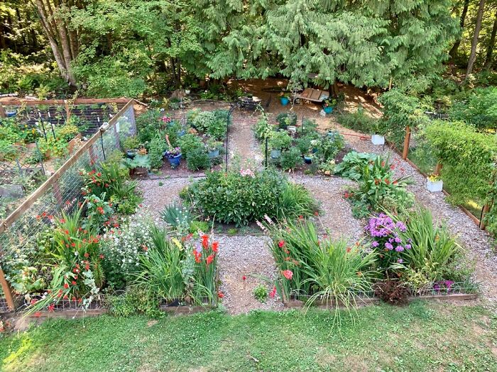 One Of My Gardens In The Evening