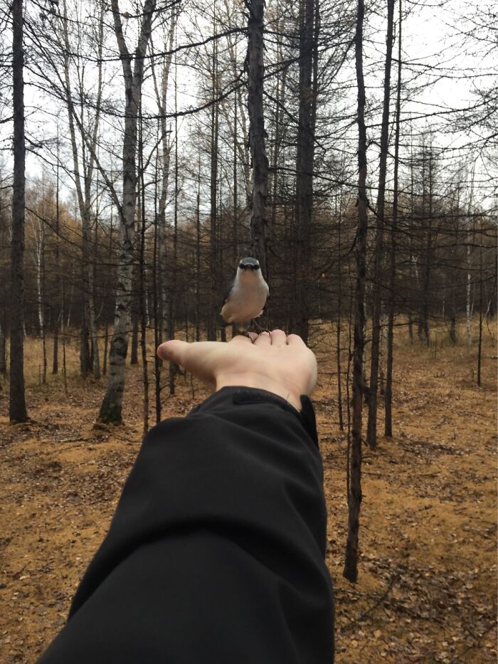 This Is Worth Something Apparently